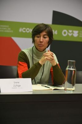 Irene Zúñiga Sagredo